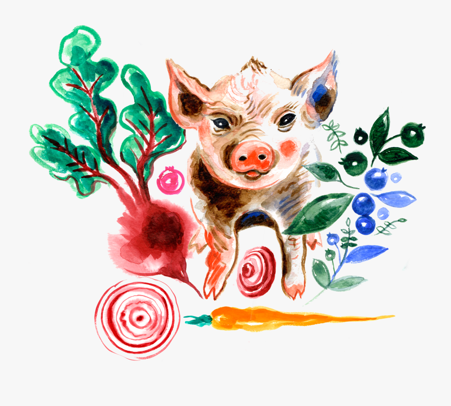 Pigs Clipart Watercolor - Domestic Pig, Transparent Clipart