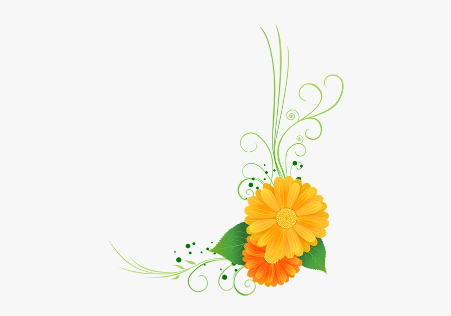 English Marigold, Transparent Clipart