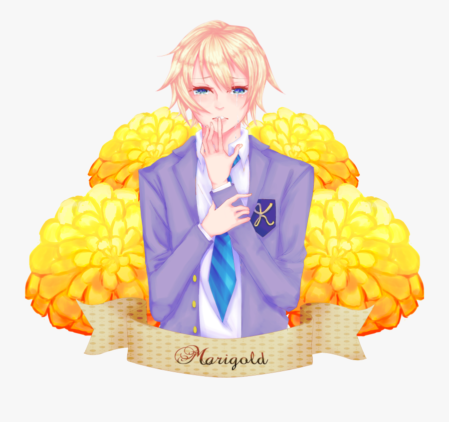 English Marigold, Transparent Clipart