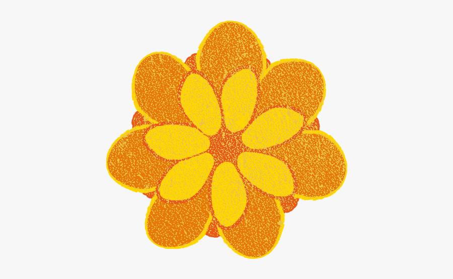 Tagetes Patula, Transparent Clipart