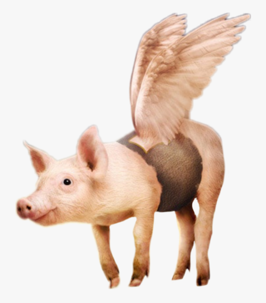 #flying #pig #surreal #scflyinganimals #mystified #parietalimagination - Adobe Photoshop, Transparent Clipart