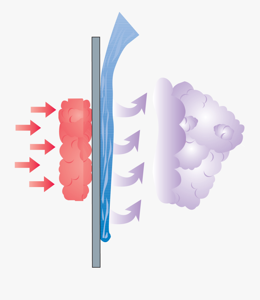 Illustration, Transparent Clipart