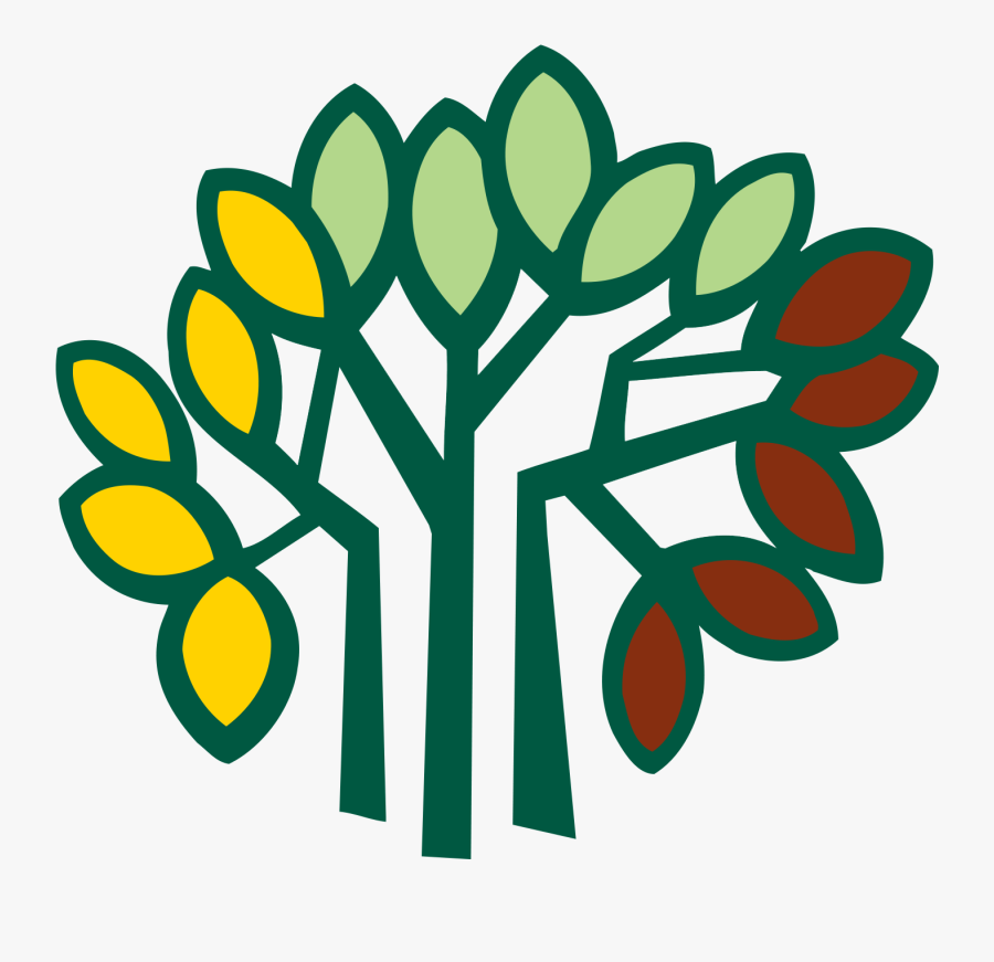 At Mcginnis Woods Country Day School - Kalpataru, Transparent Clipart