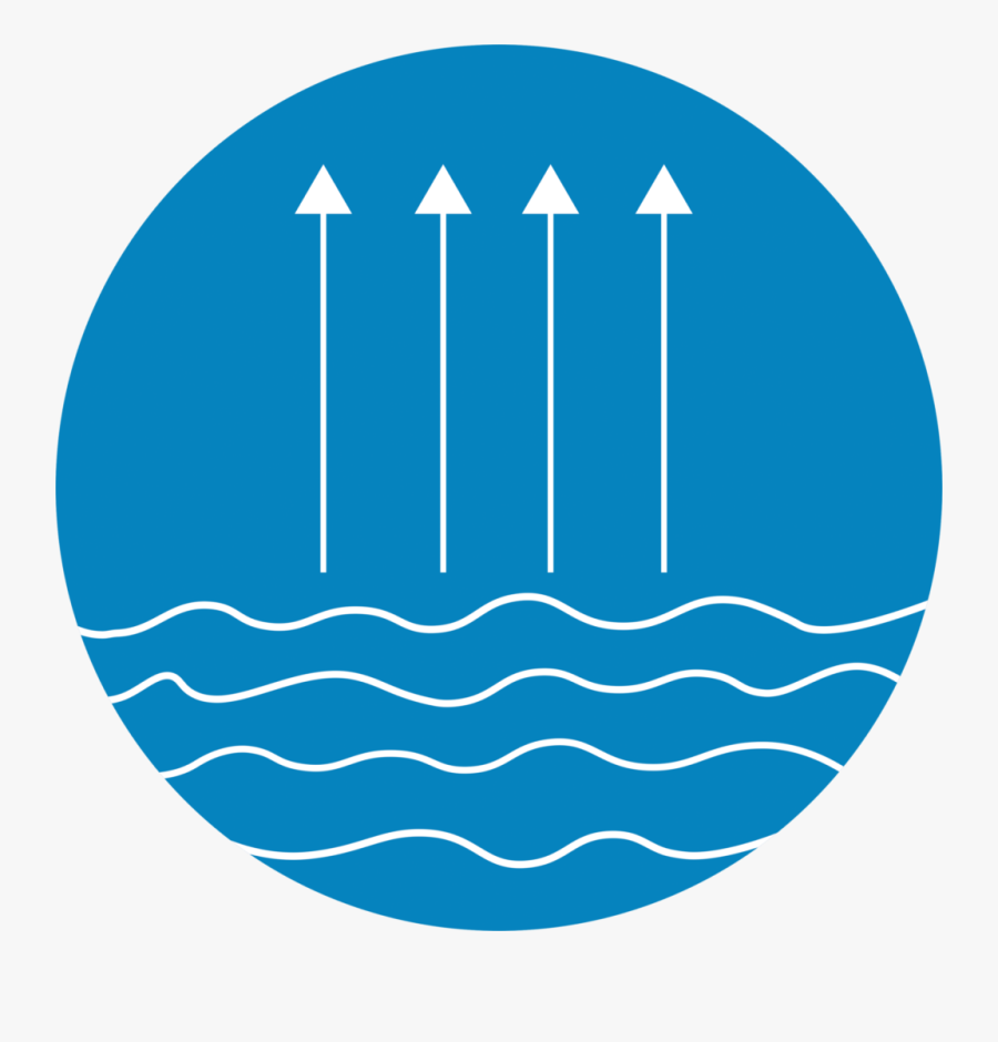 Circle, Transparent Clipart