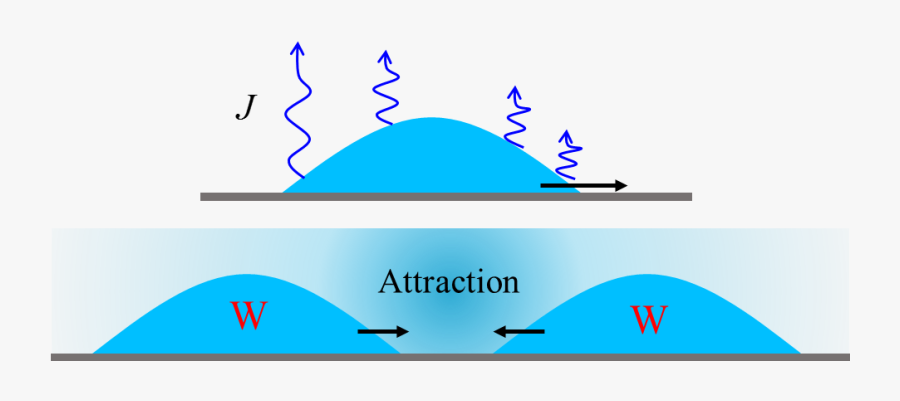 Clip Art, Transparent Clipart