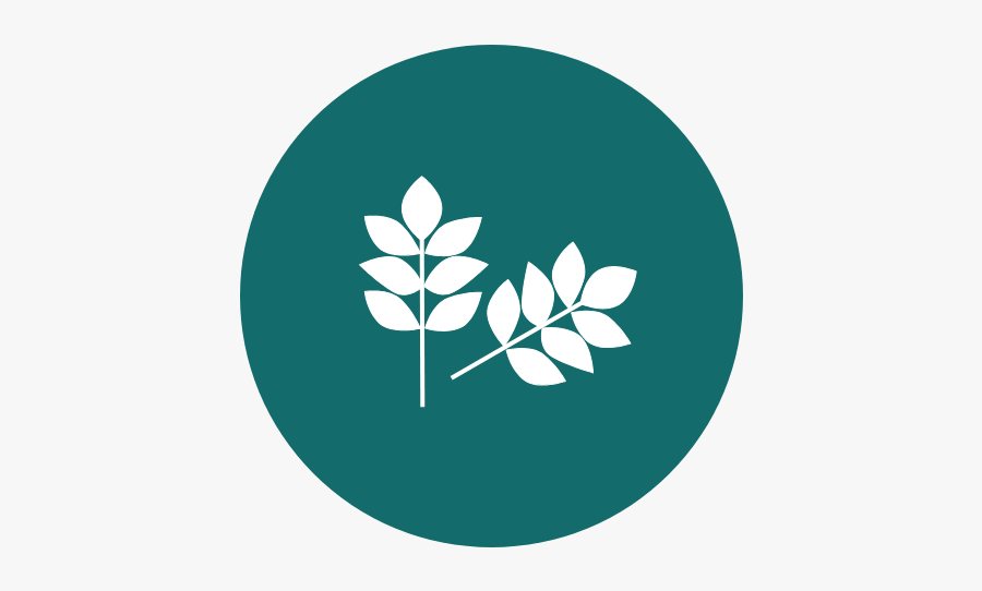 Picture - Emblem, Transparent Clipart