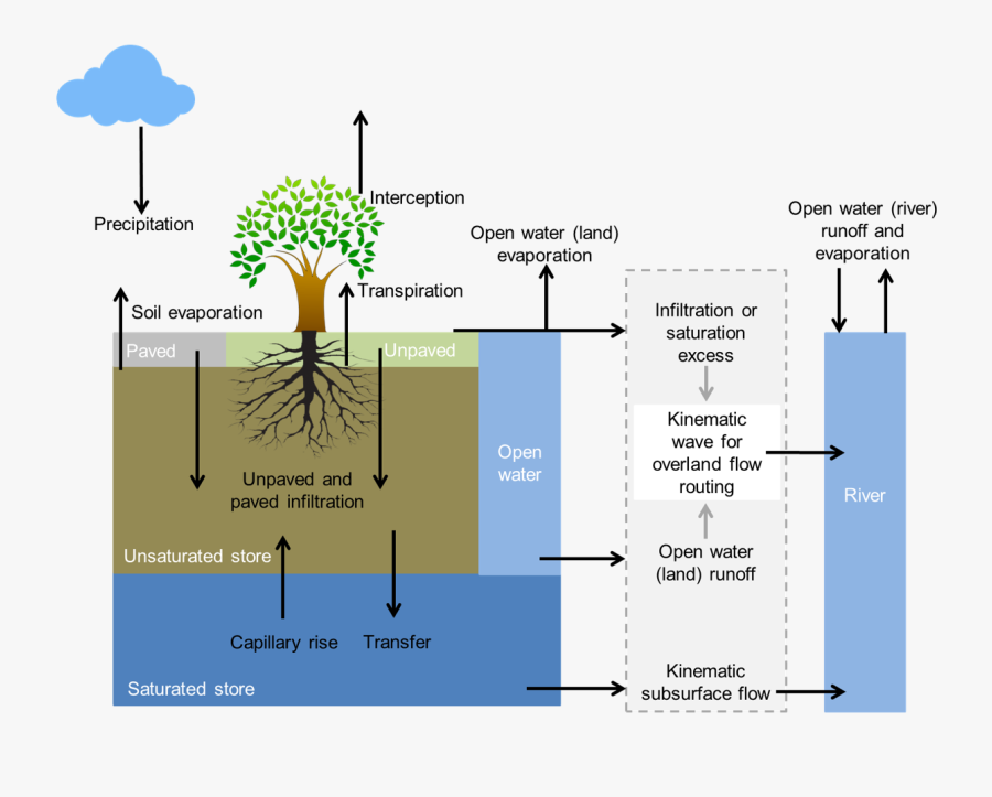 Images/wflow Sbm Soil - Transpiration Models, Transparent Clipart