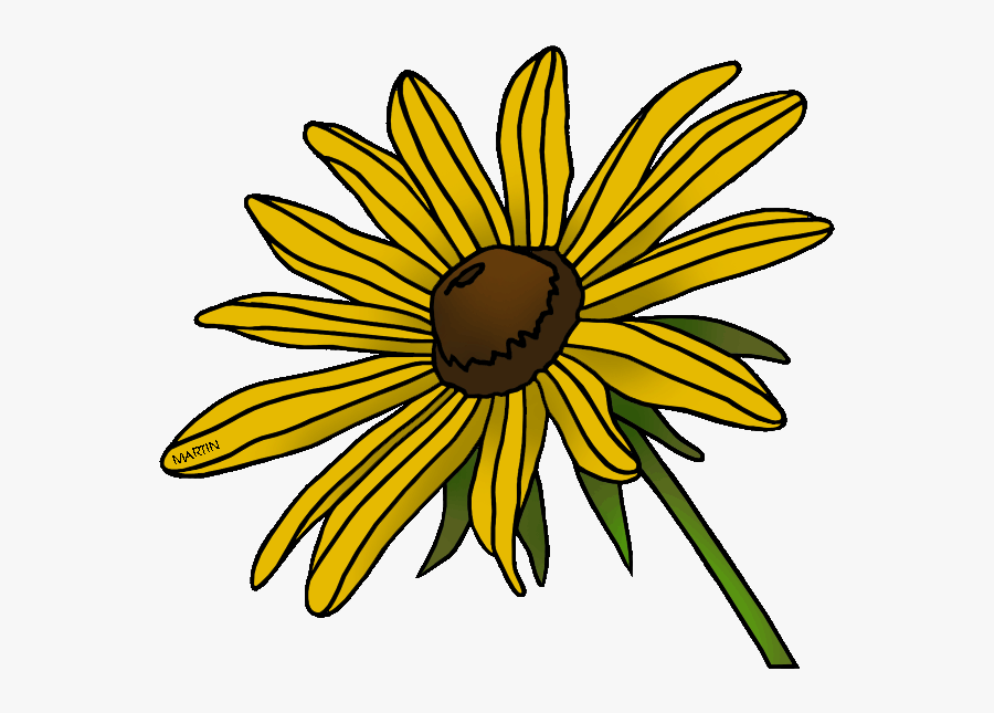 State Flower Of Maryland - Black Eyed Susan Png, Transparent Clipart