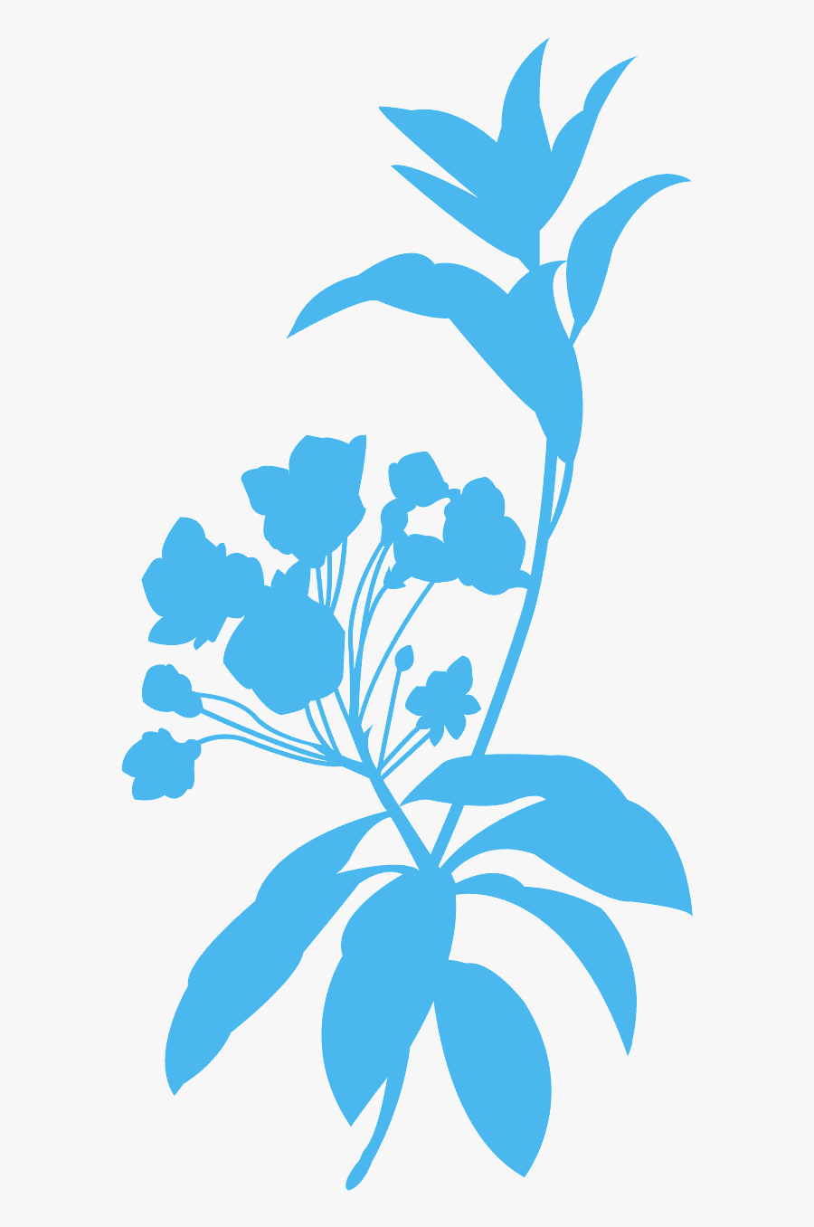 Illustration, Transparent Clipart