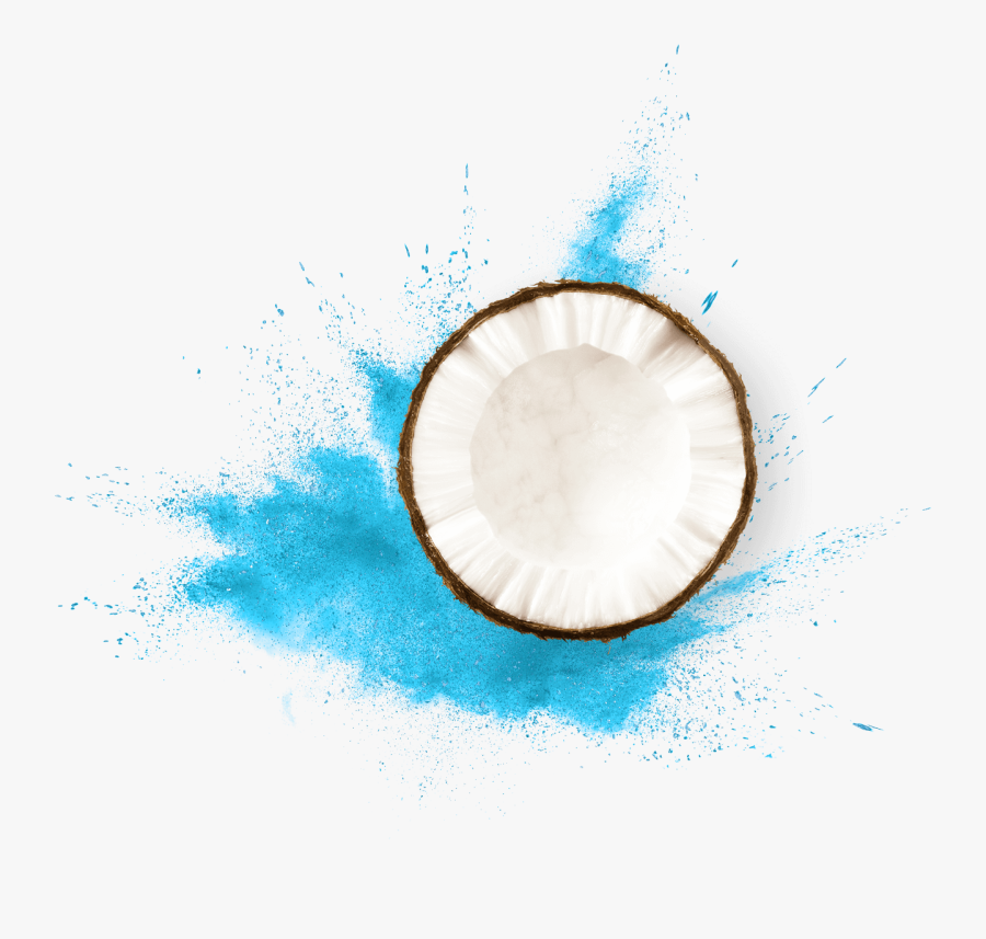 Circle, Transparent Clipart