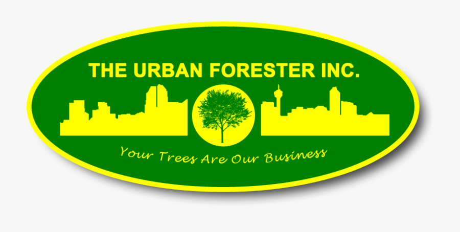 Calgary Christmas Light Installation - Calgary Arborist, Transparent Clipart