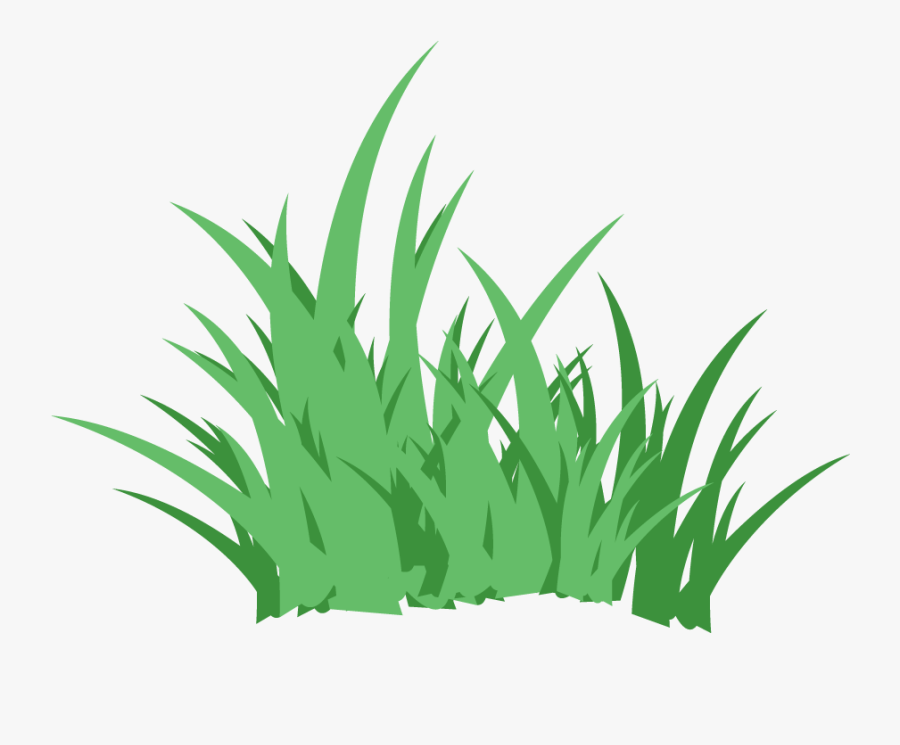 Agave, Transparent Clipart