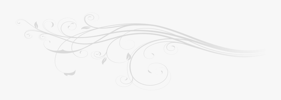 Sketch, Transparent Clipart