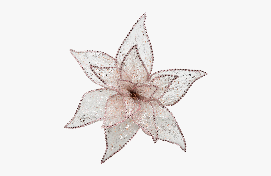 Lily Family, Transparent Clipart