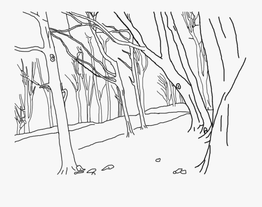 Lineart Forest - Forest Line Art Png, Transparent Clipart