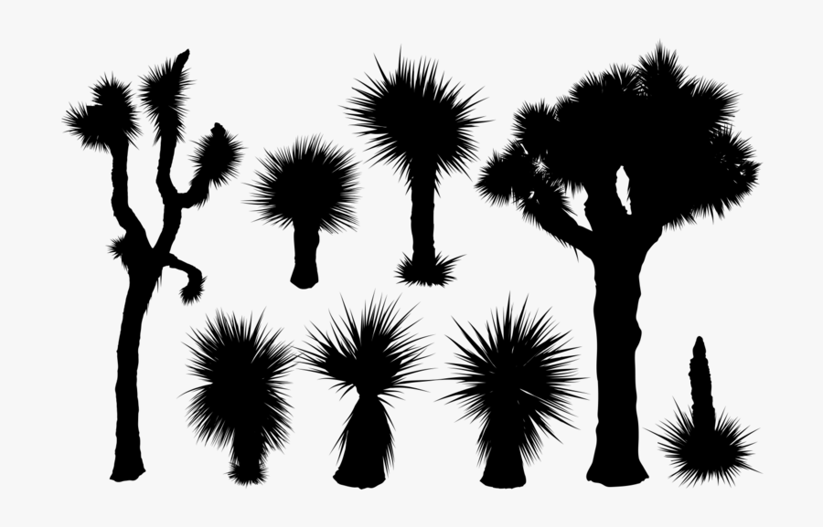 Transparent Cactus Vector Png - Joshua Tree Silhouette Vector, Transparent Clipart
