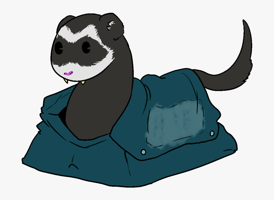Weasel, Transparent Clipart