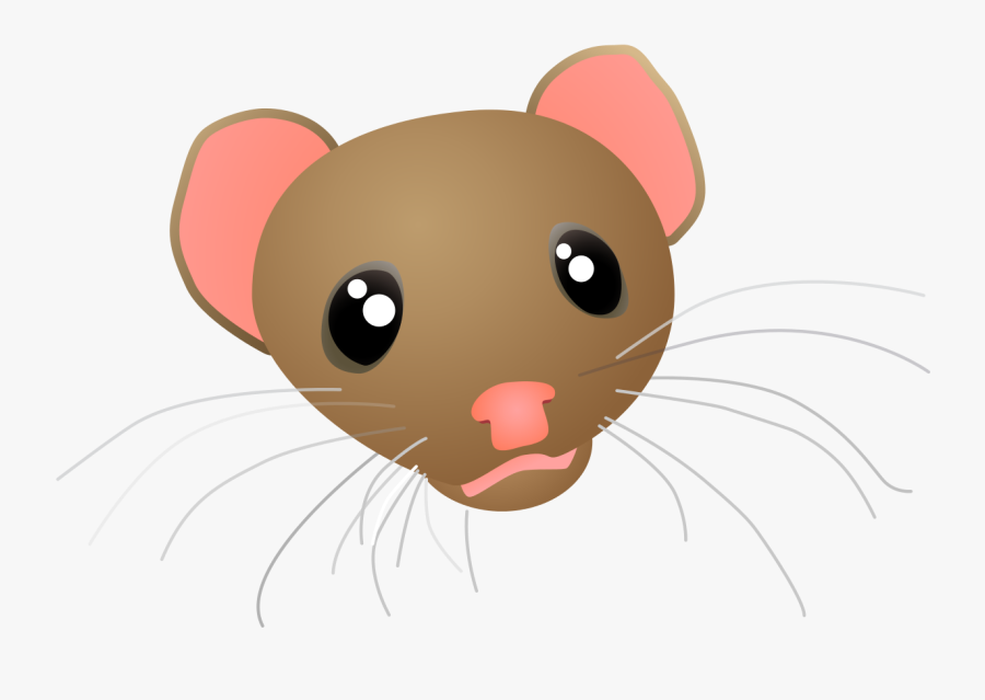 Weasel Head, Transparent Clipart