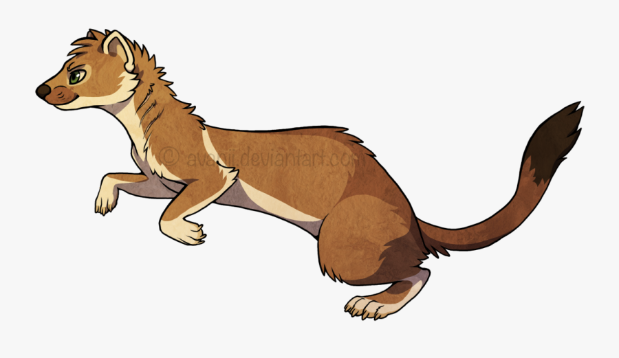 Black Footed Ferret Cartoon , Free Transparent Clipart ClipartKey