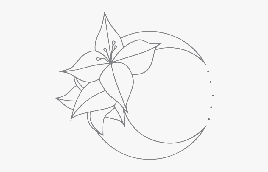 Line Art, Transparent Clipart