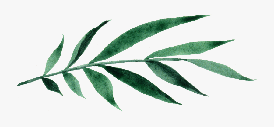 An Engagement Session In Joshua Tree, California, Was - Houseplant, Transparent Clipart