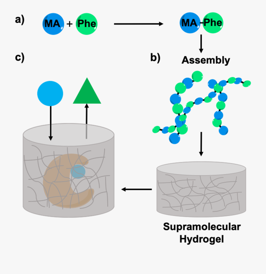 Diagram, Transparent Clipart
