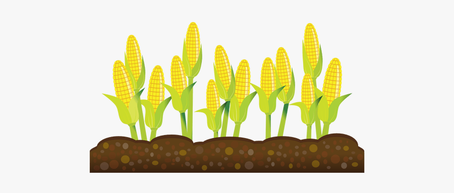 Transparent Transparent Background Crops Clipart, Transparent Clipart