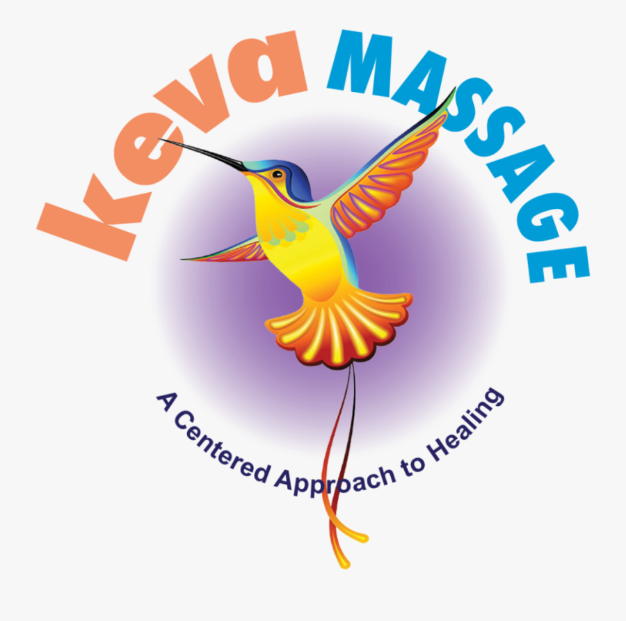 Transparent Healing Service Clipart - Rufous Hummingbird, Transparent Clipart