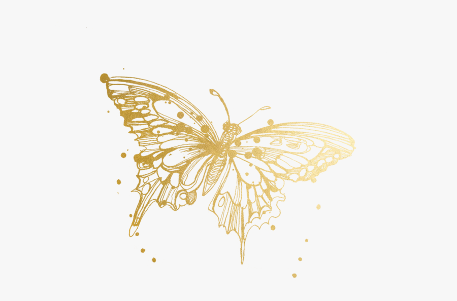 Transparent Eric Carle Butterfly Clipart - Butterfly Drawing In Watercolor, Transparent Clipart