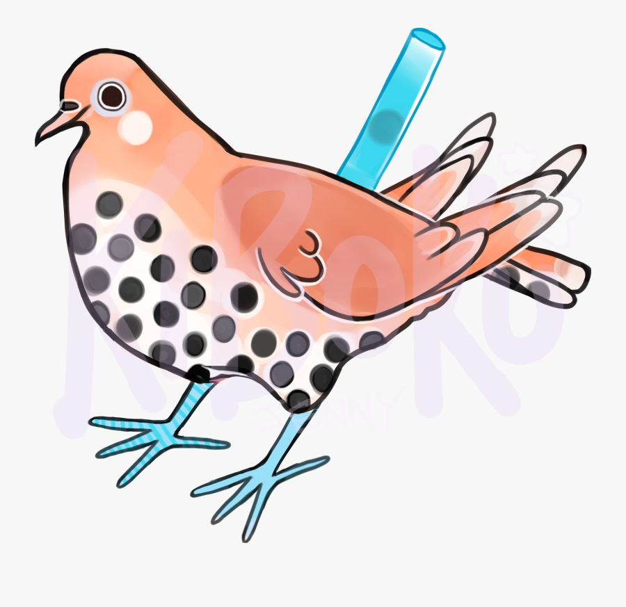 Wren, Transparent Clipart