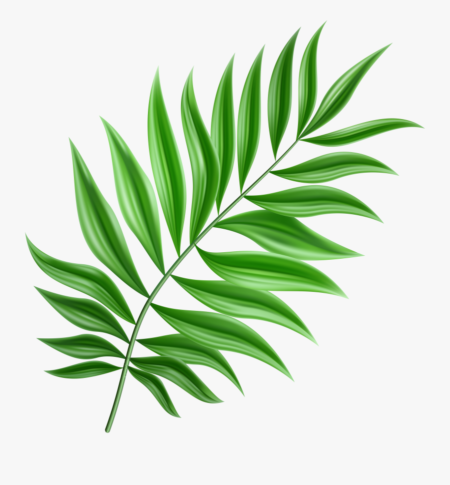 Leaf Clip Art Yopriceville - Clipart Palm Leaf Png, Transparent Clipart