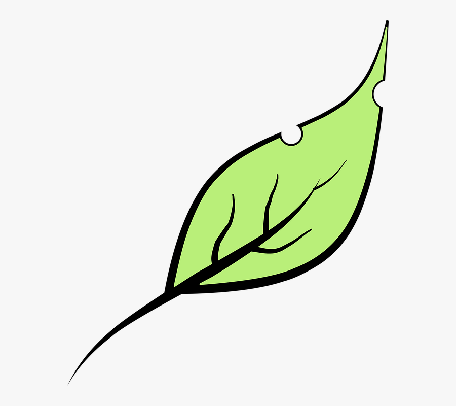 Leaf, Green, Leaves, Transparent Clipart