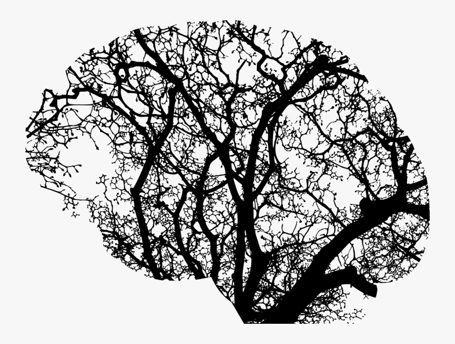 Sumitomo Dainippon Schizophrenia - Brain And Tree Roots, Transparent Clipart