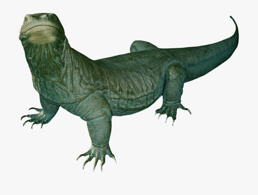 Komodo Dragon Png Clipart - Komodo Dragon No Background, Transparent Clipart