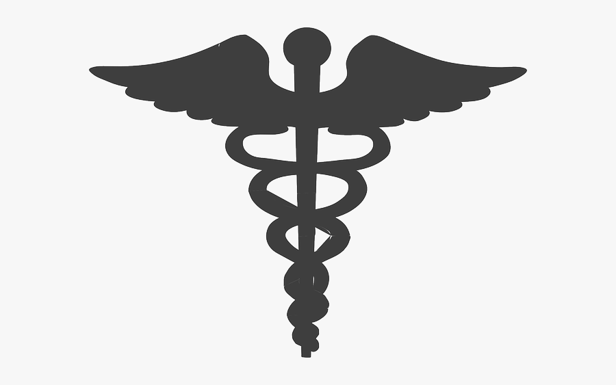 Community Health Care And Community Paramedicine Programs - Caduceus Clipart, Transparent Clipart