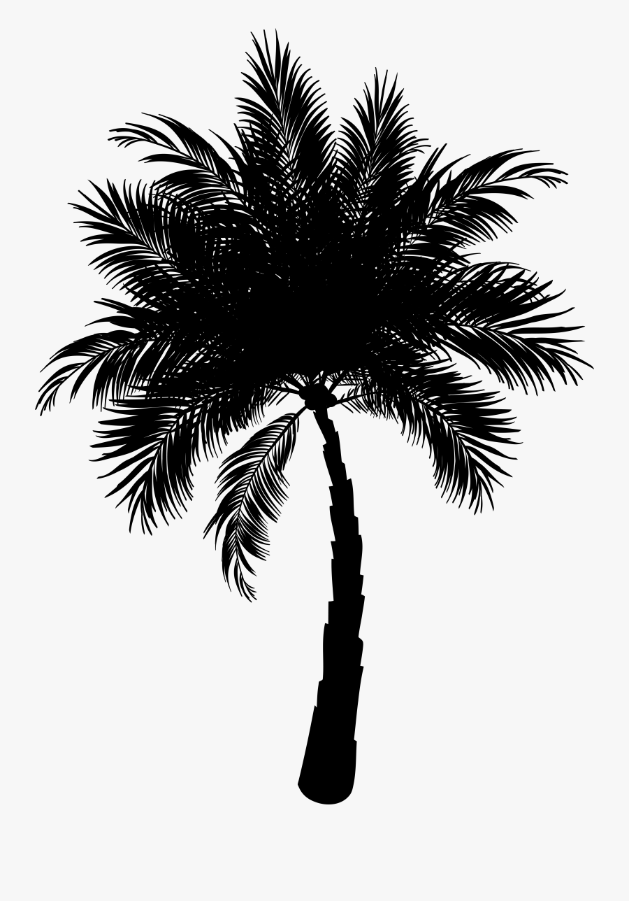 Asian Palmyra Palm Date Palm Vector Graphics Palm Trees - Date Palm Vector Png, Transparent Clipart