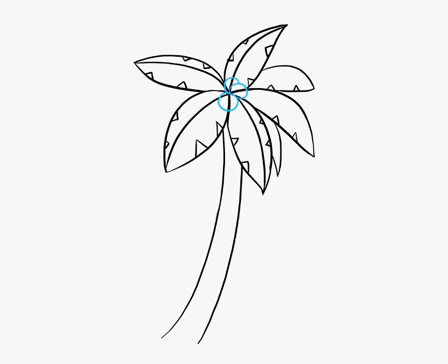 How To Draw Palm Tree - Cách Vẽ Cây Dừa, Transparent Clipart