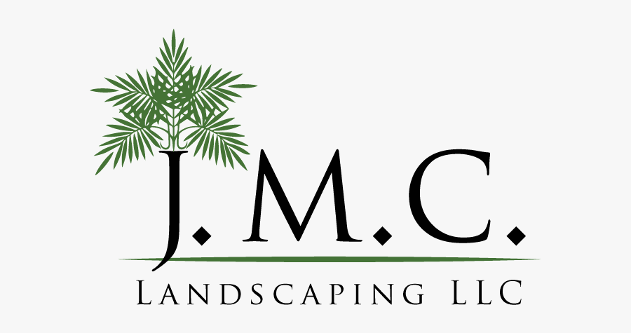 Sabal Palmetto, Transparent Clipart