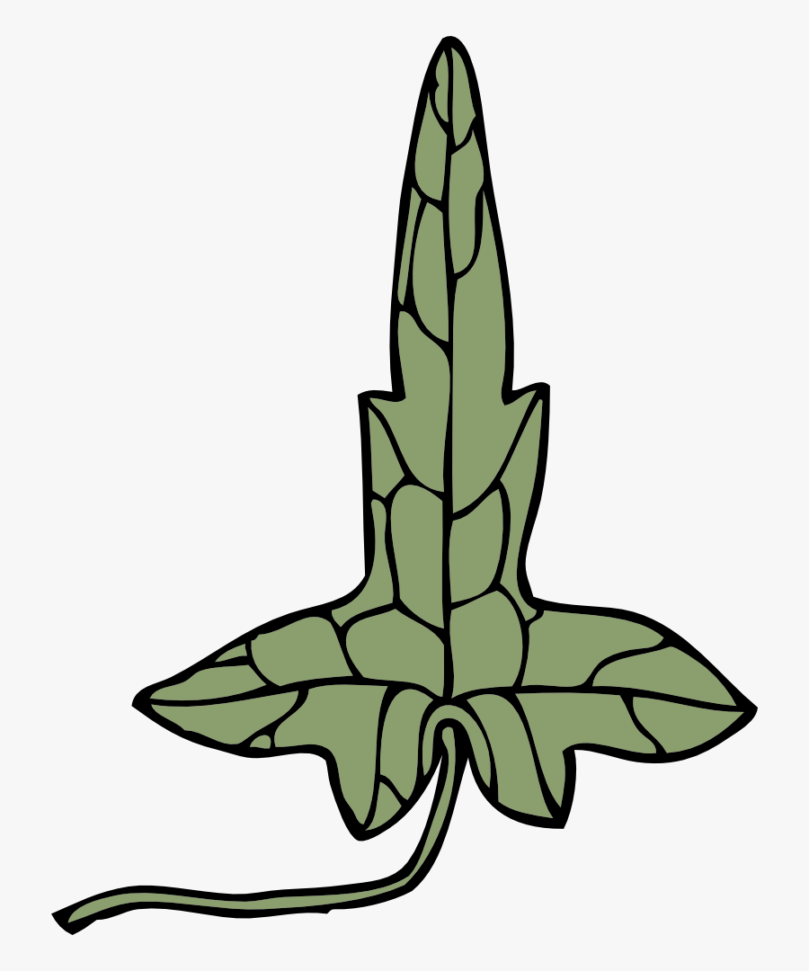 Ivy Leaf - Clip Art, Transparent Clipart