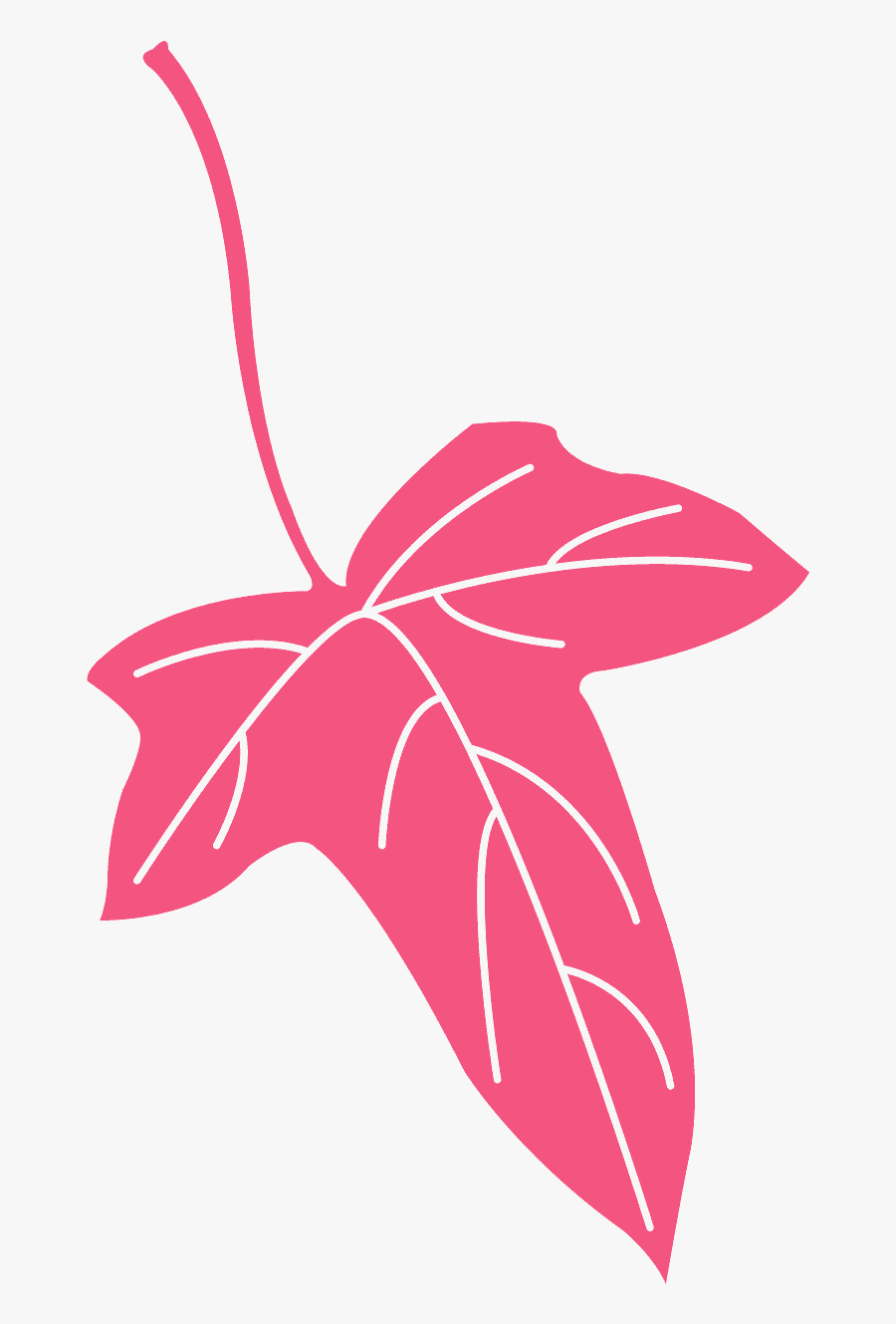Pink Leaf Vector, Transparent Clipart