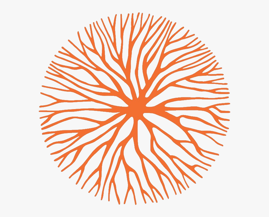 Blest Raices, Transparent Clipart