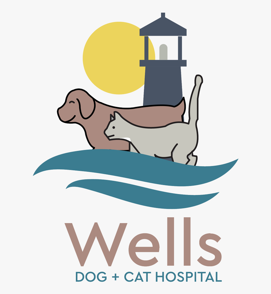 Wells Dog And Cat Hospital - Illustration, Transparent Clipart