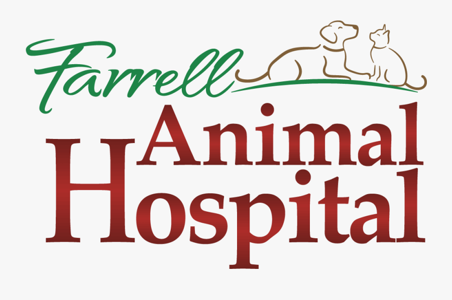 Farrell Animal Hospital - Framingham State University, Transparent Clipart