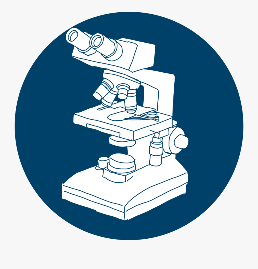 Attachment - Scientist - Stairs, Transparent Clipart
