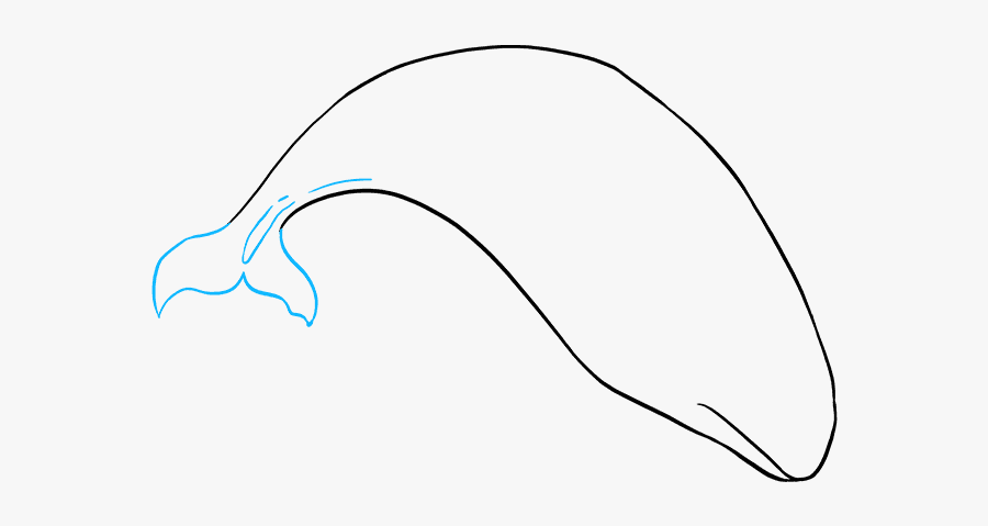 Killer Whale Vector Stock Vector - Line Art, Transparent Clipart