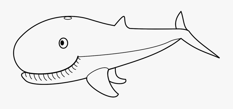 Whale Animal Ocean Free Picture - Outline Pictures Of Whale, Transparent Clipart