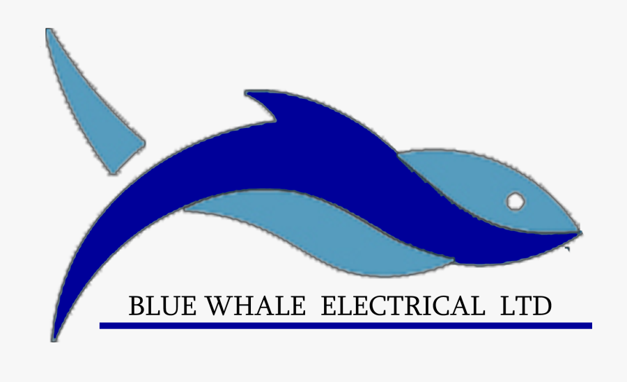 Blue Whale Electrical Ltd, Transparent Clipart