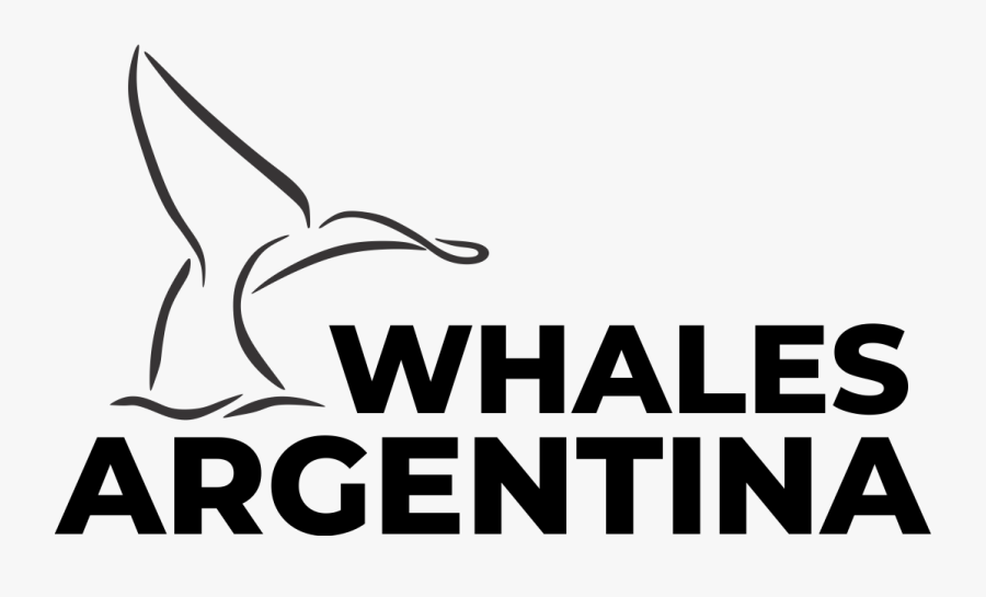Whales Argentina, Transparent Clipart