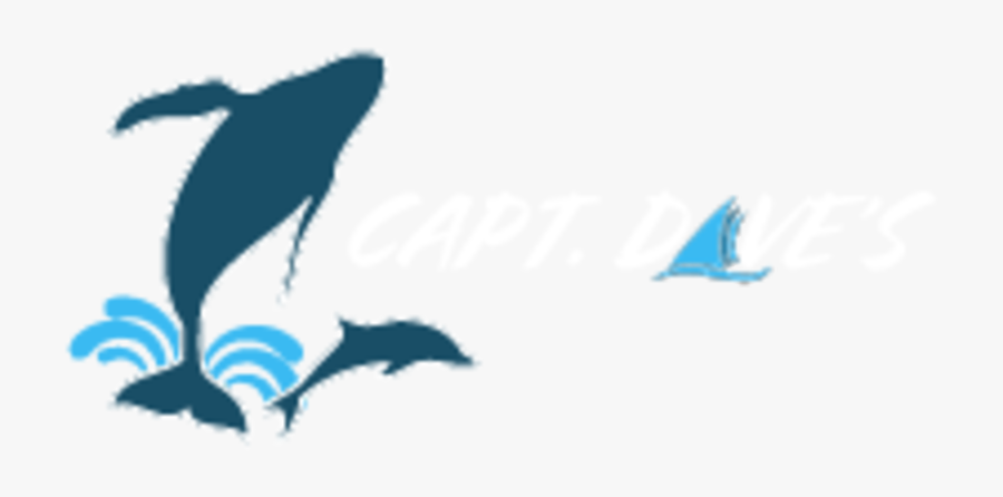 Captain Dave’s Dolphin And Whale Safari Logo, Transparent Clipart