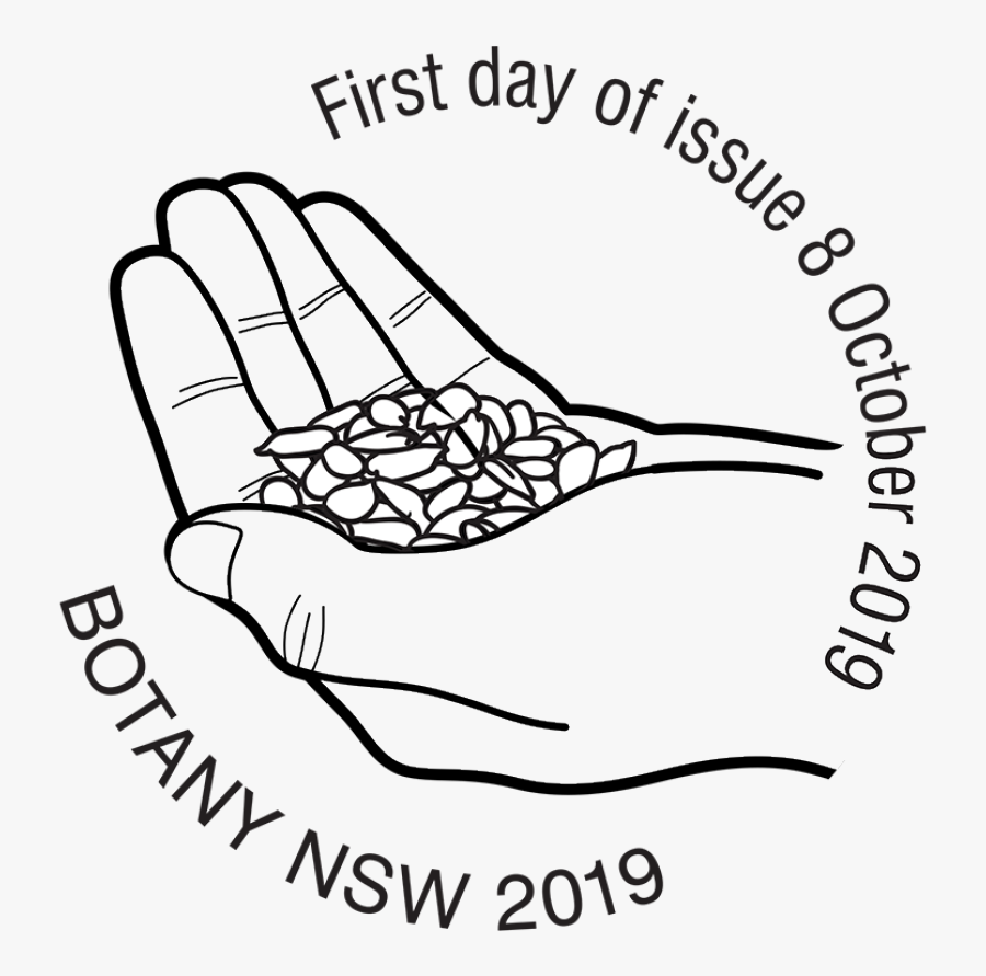 Drawing, Transparent Clipart